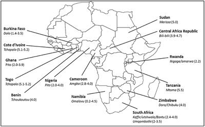 Sustainable Production of African Traditional Beers With Focus on Dolo, a West African Sorghum-Based Alcoholic Beverage
